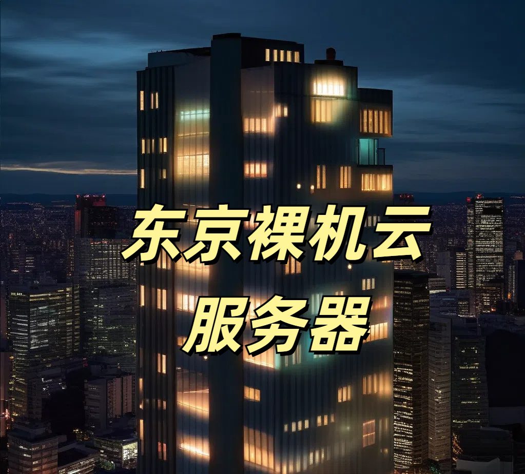 东京裸机云服务器怎么用