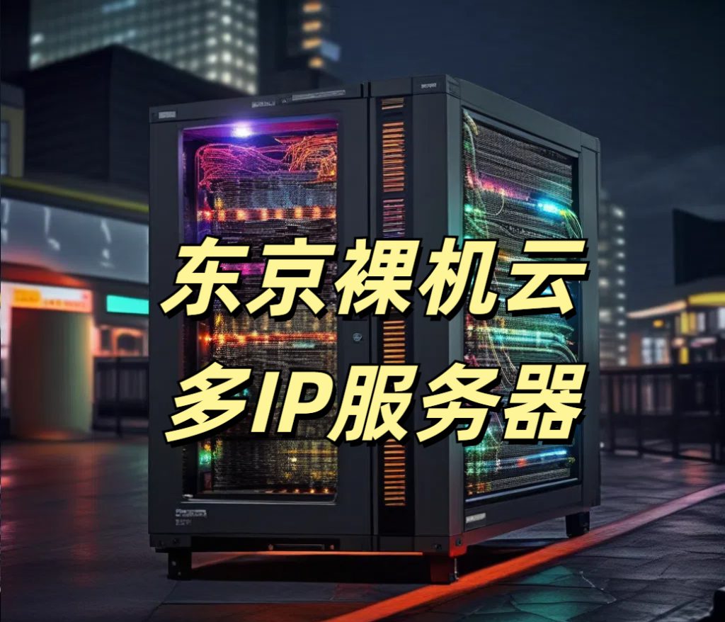 东京裸机云多IP服务器全面分析