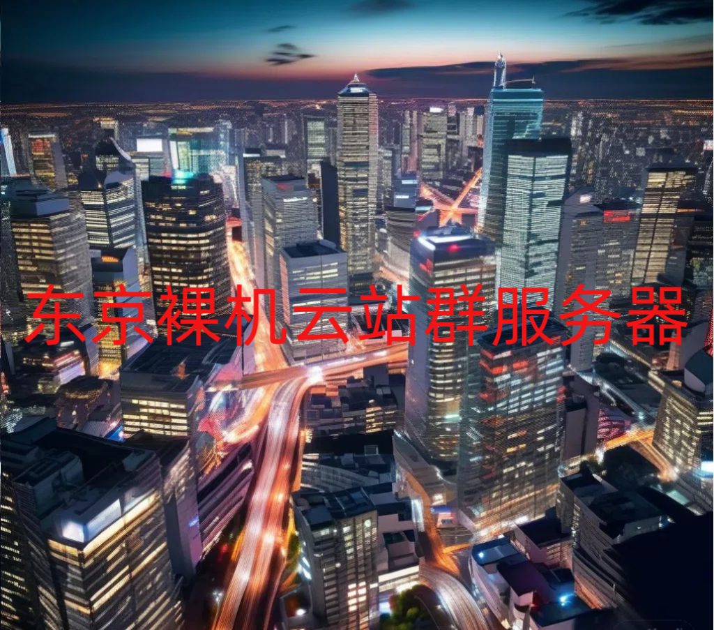 东京裸机云站群服务器测评解析