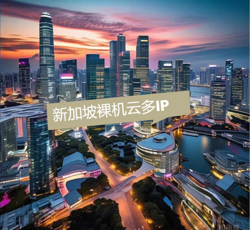 新加坡裸机云多IP服务器特性