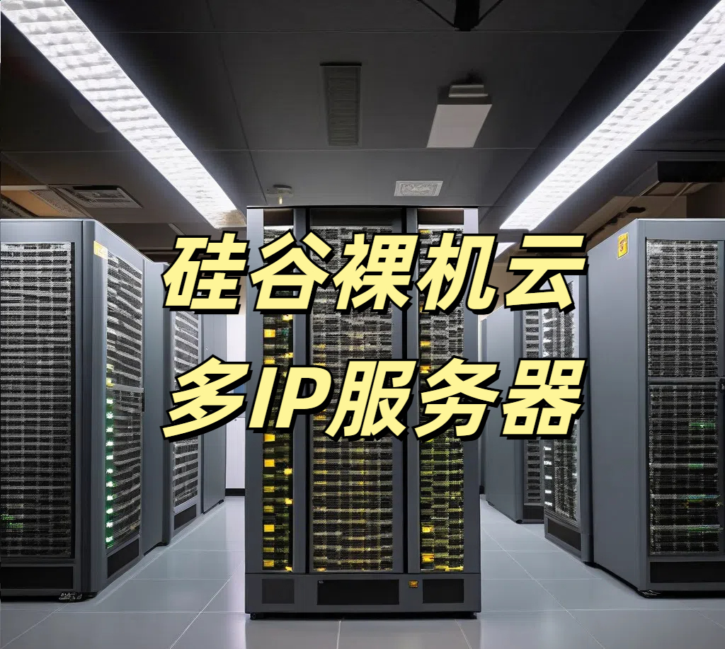 全面解析硅谷裸机云多IP服务器