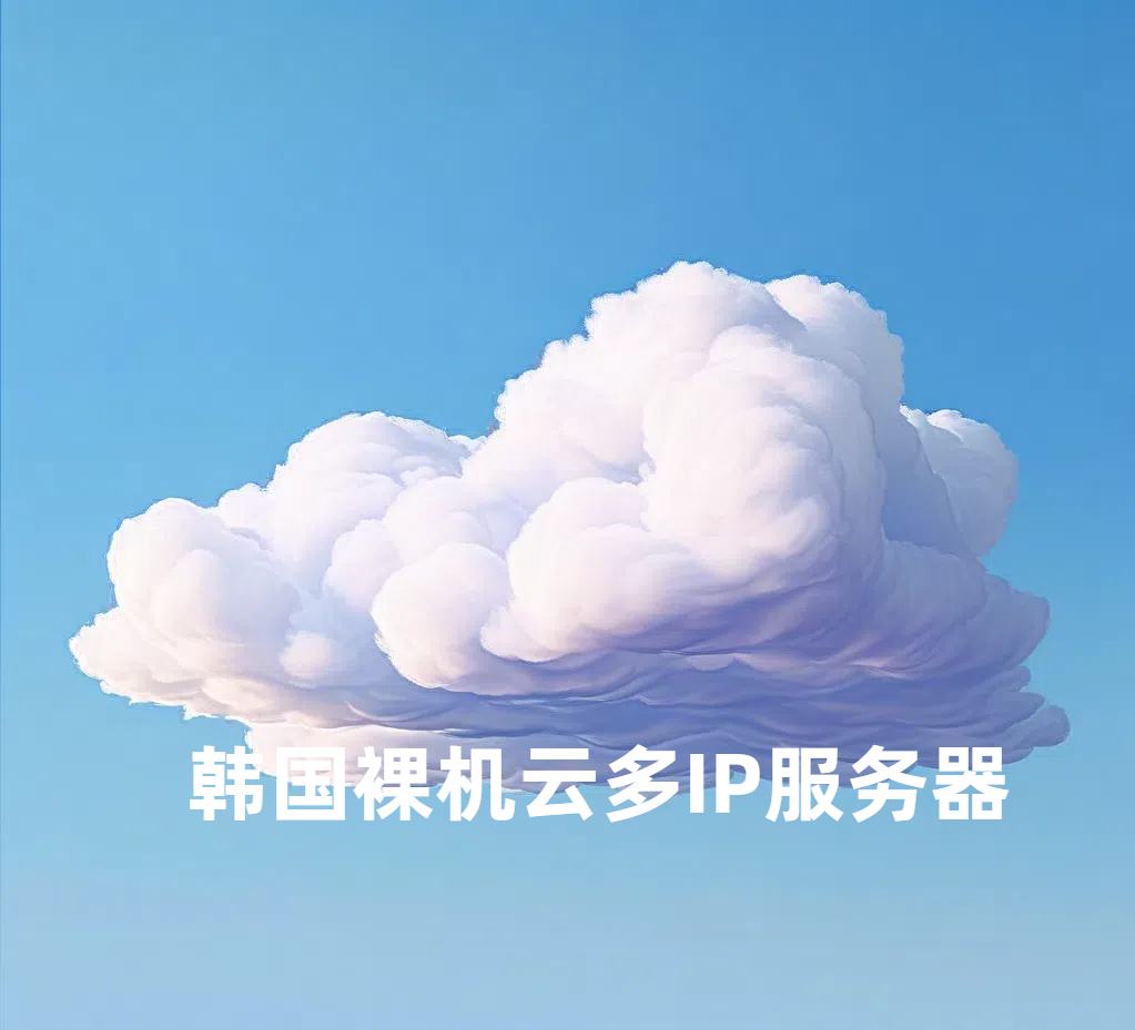 韩国裸机云多IP服务器特点