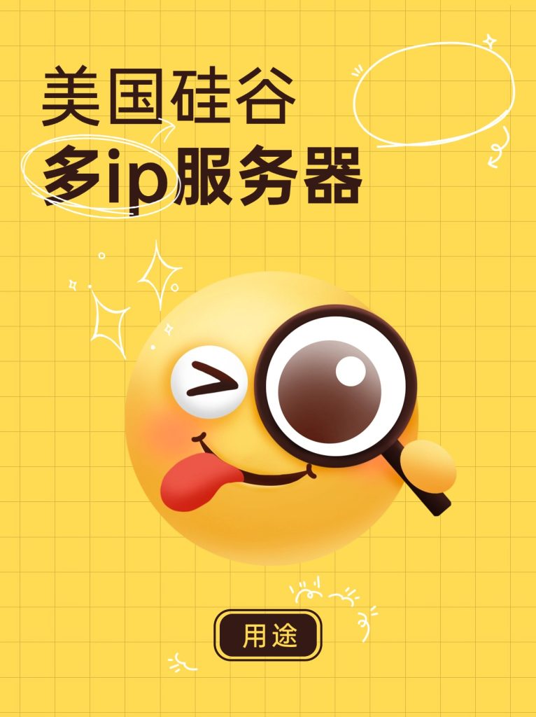 美国硅谷多ip服务器用途广吗?