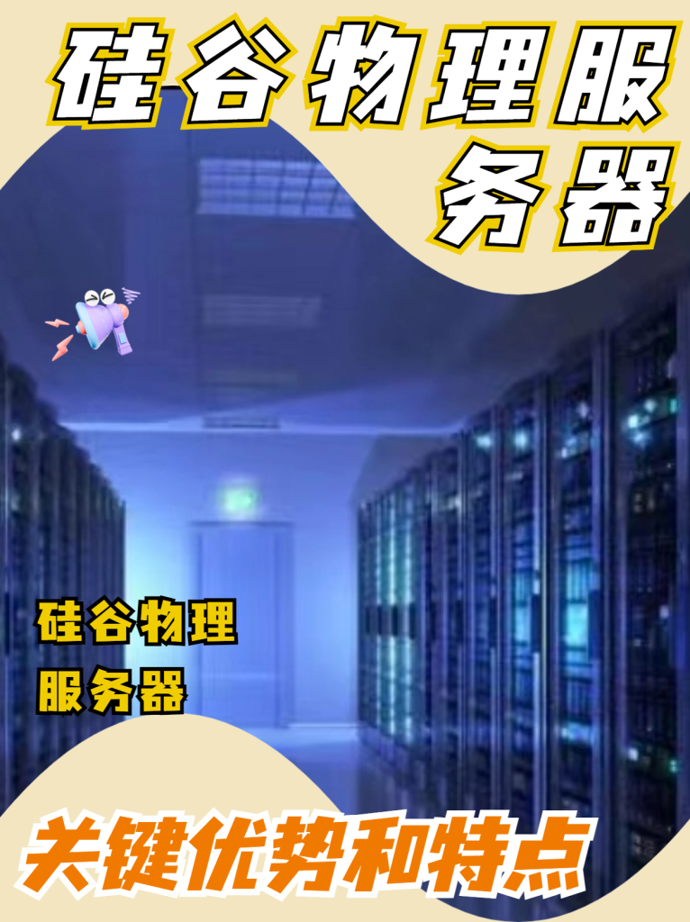 硅谷物理服务器有哪些关键优势和特点