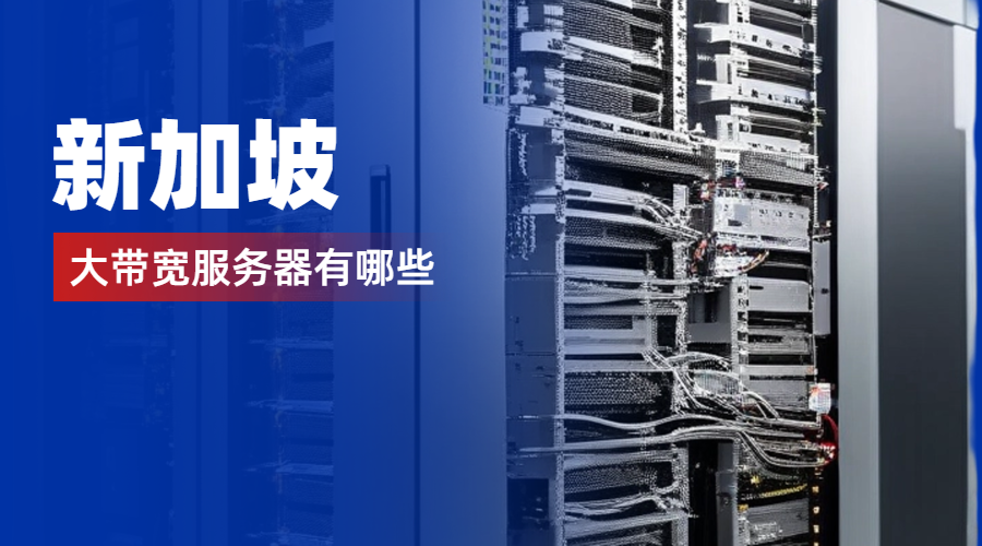 新加坡大带宽服务器有哪些