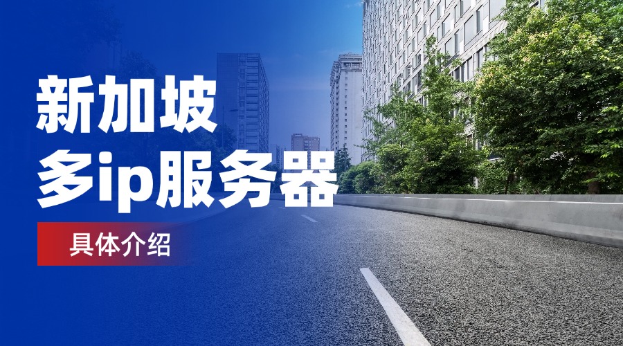 新加坡多ip服务器具体介绍