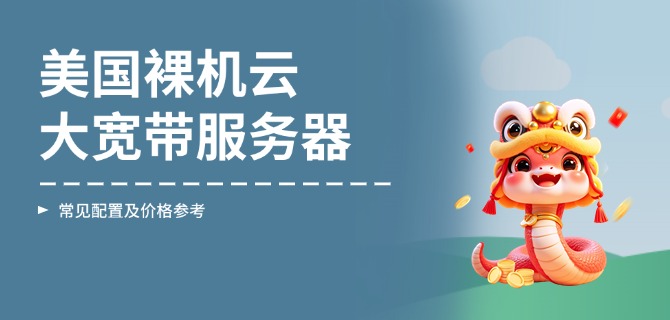 美国裸机云大宽带服务器常见的配置及价格参考