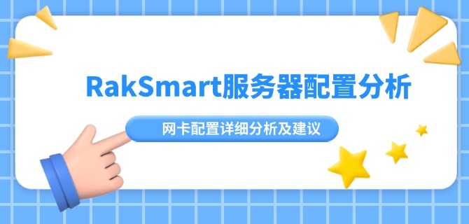 RakSmart服务器配置分析：网卡配置详细分析及建议