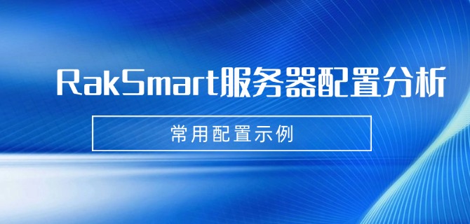 RakSmart服务器配置分析:常用配置示例